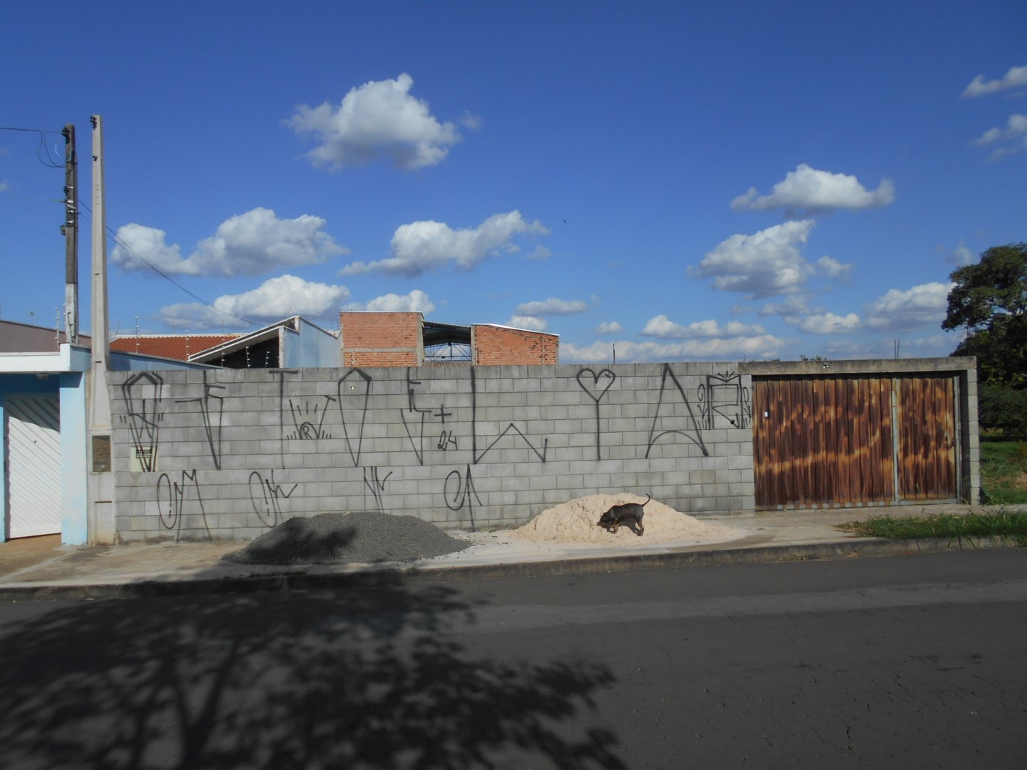 DSCN8657.JPG