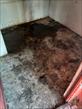 IMG-20250701-WA0032.jpg