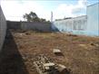 DSCN8659.JPG