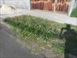 DSCN8662.JPG