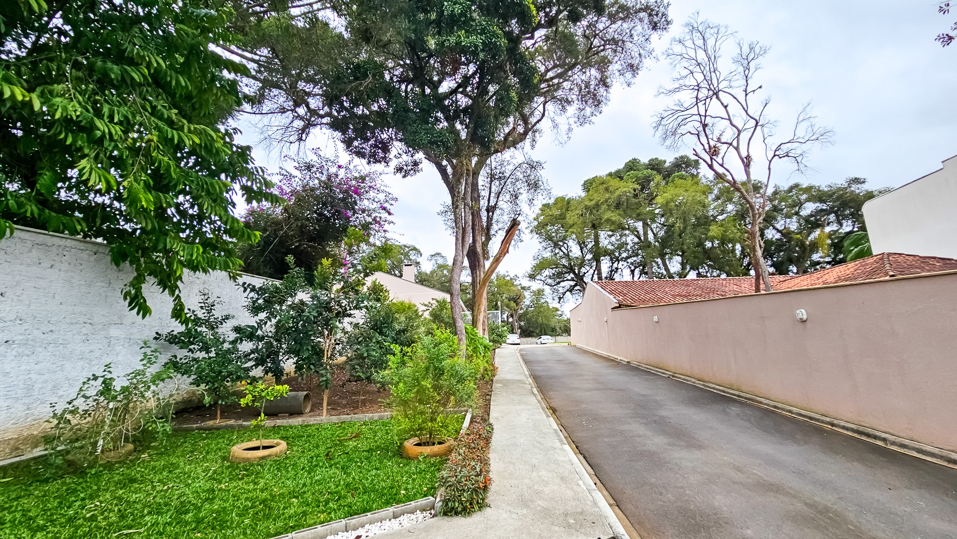 Entrada