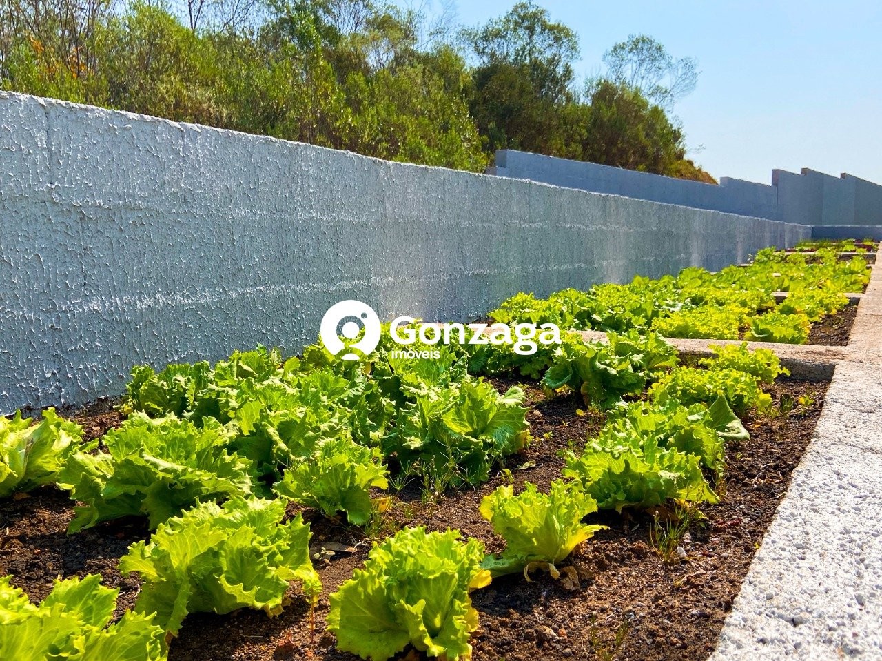 Gonzaga Imóveis Curitiba - Apartamento 1 quarto Fazenda Rio 