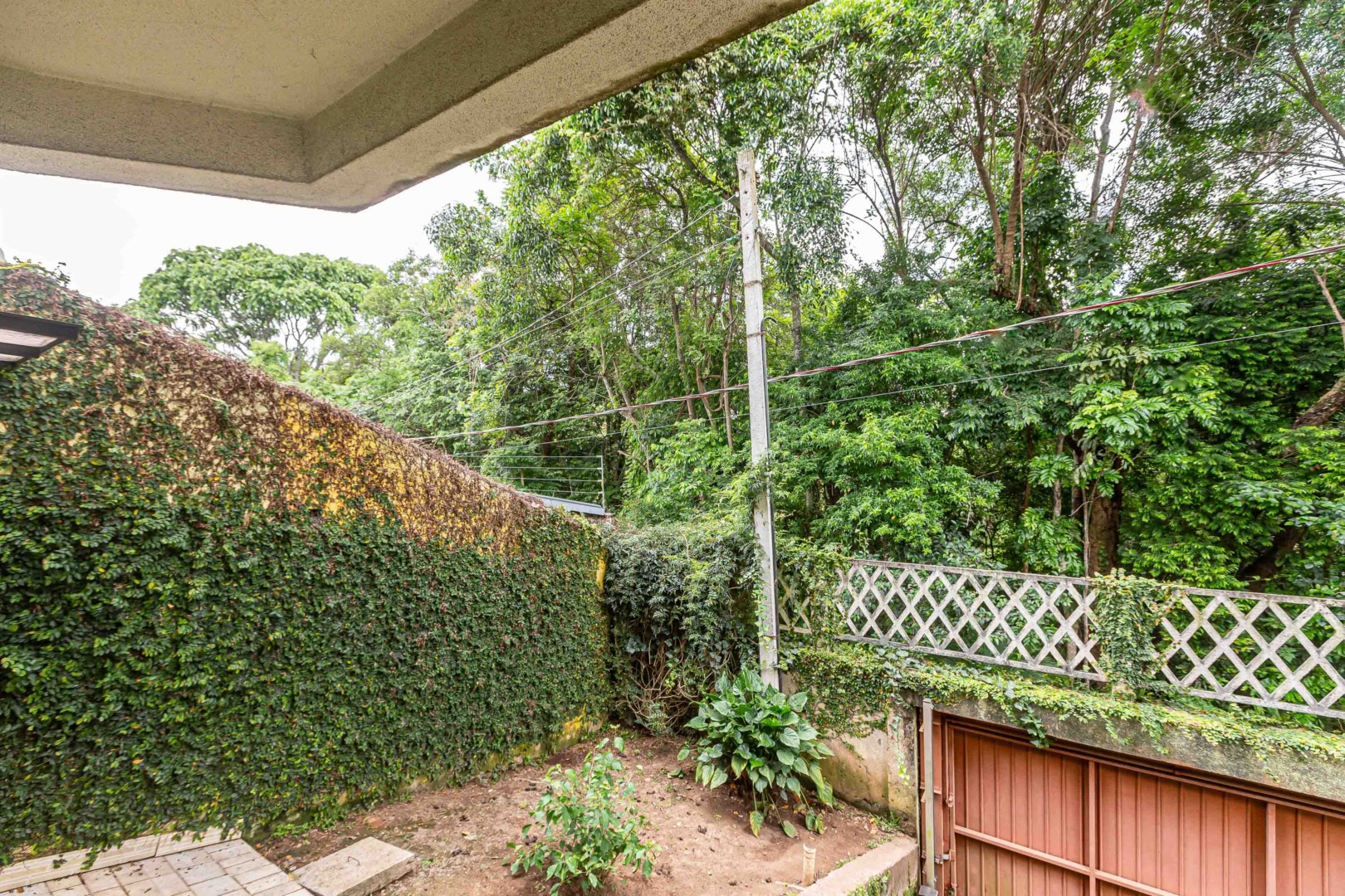Jardim 
