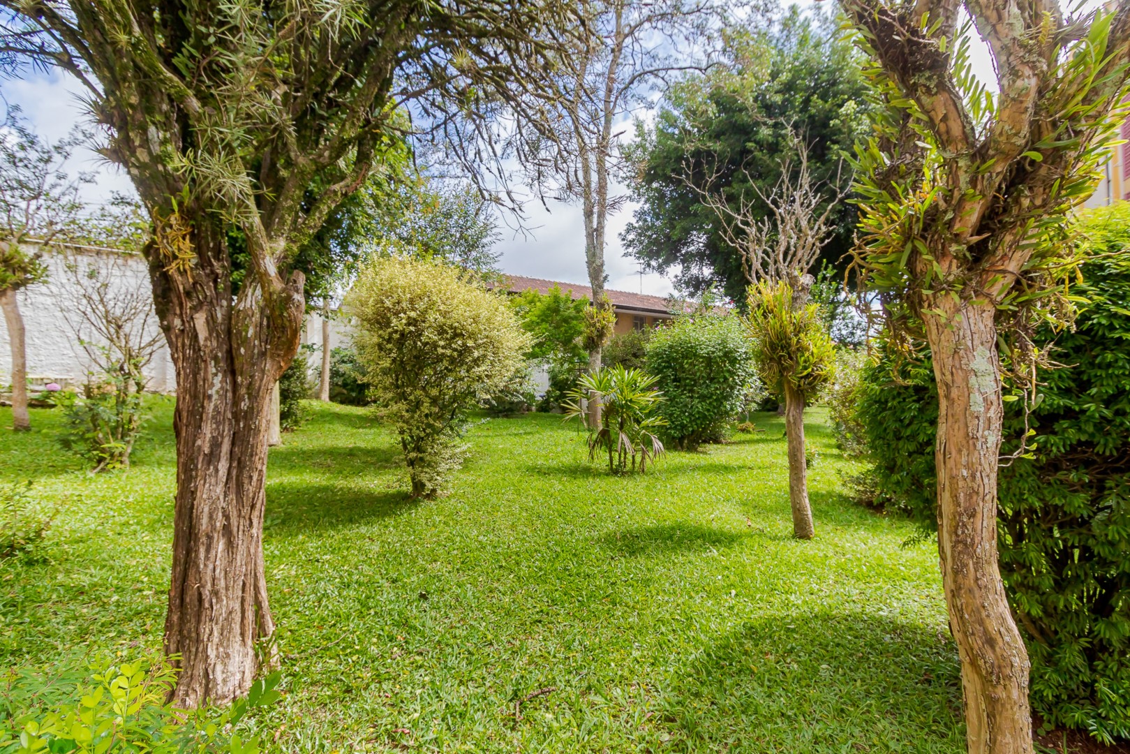 Área Externa