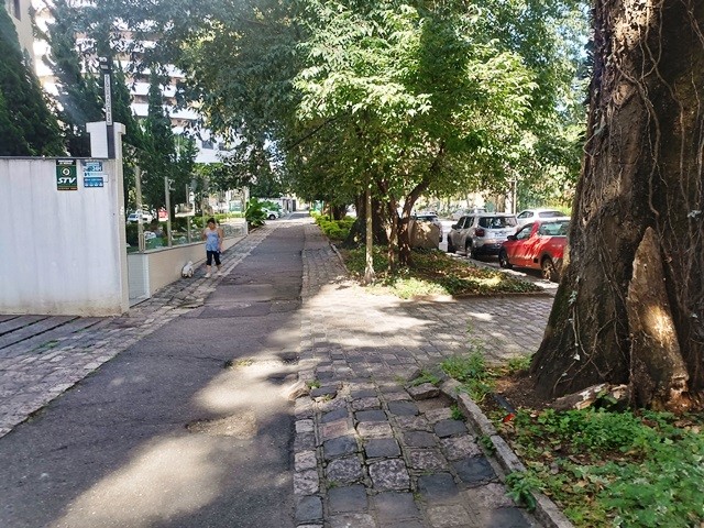 036.jpg