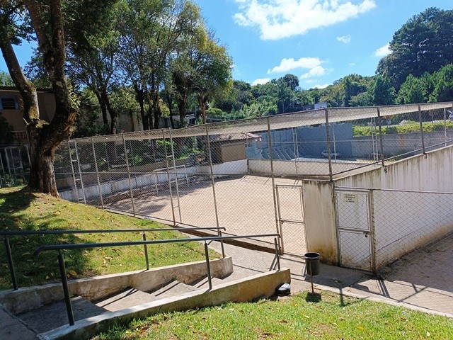 050.jpg