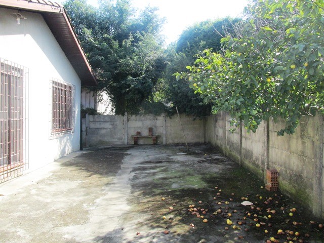 005.JPG