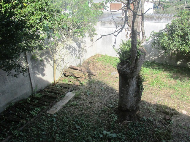 030.JPG