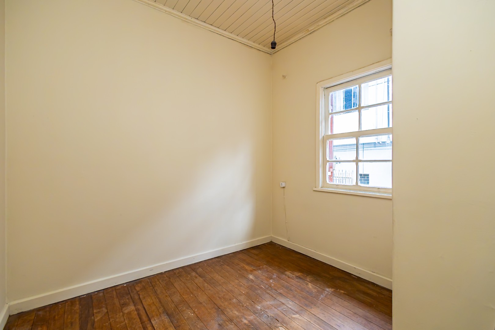 sheep - IMG_0456.jpg