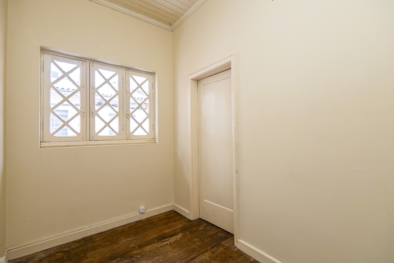 sheep - IMG_0471_1.jpg