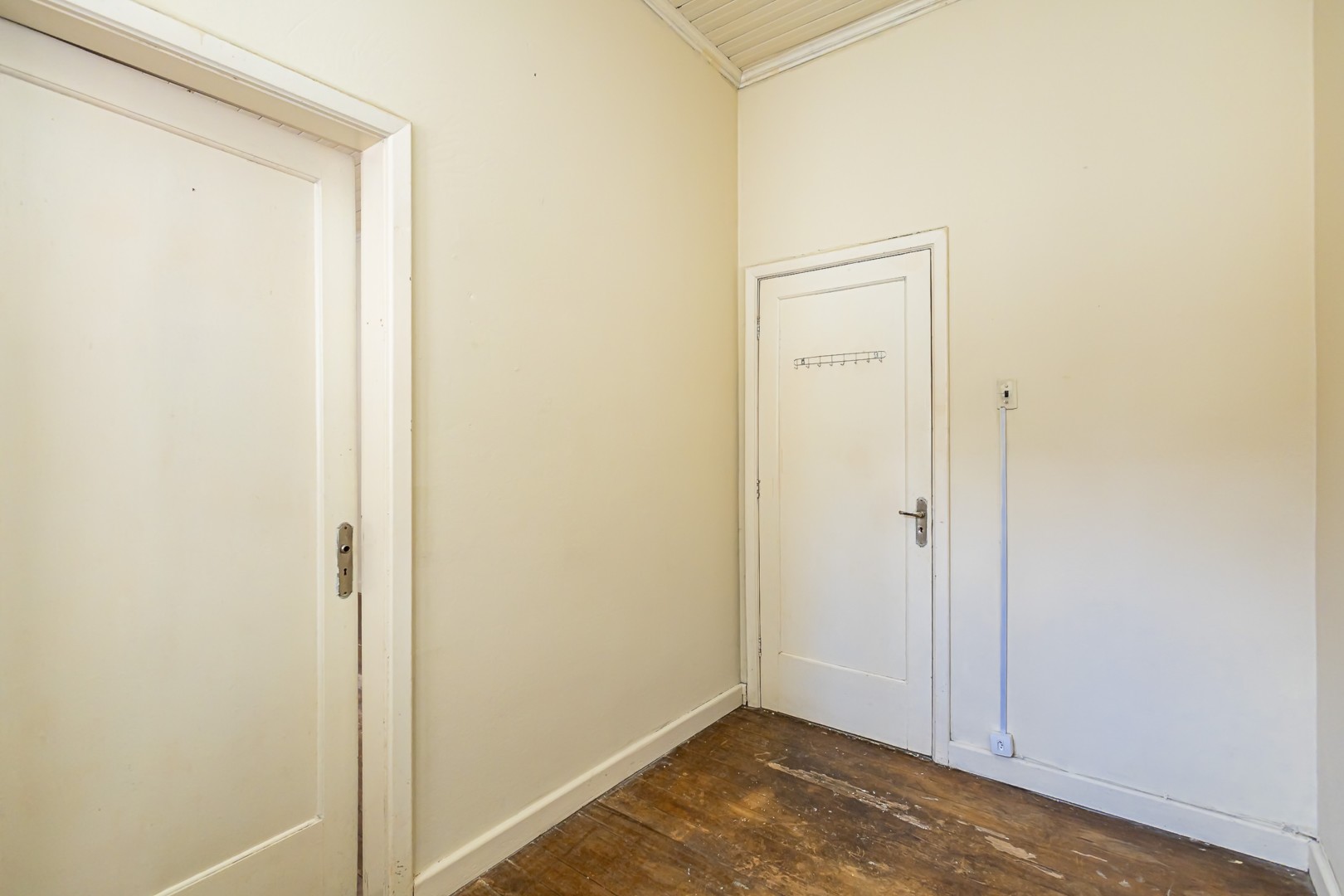 sheep - IMG_0472_1.jpg