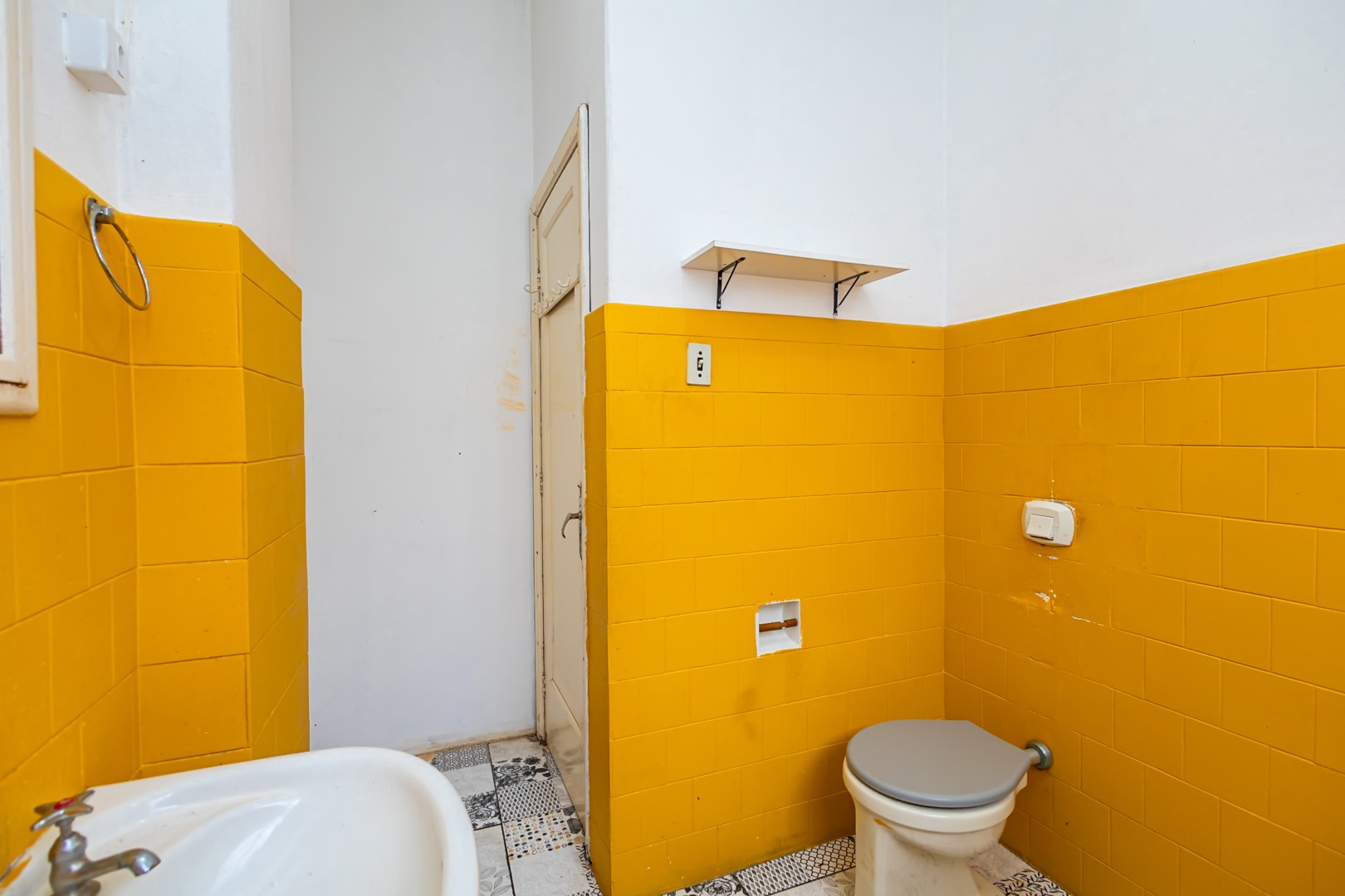 sheep - IMG_0476.jpg