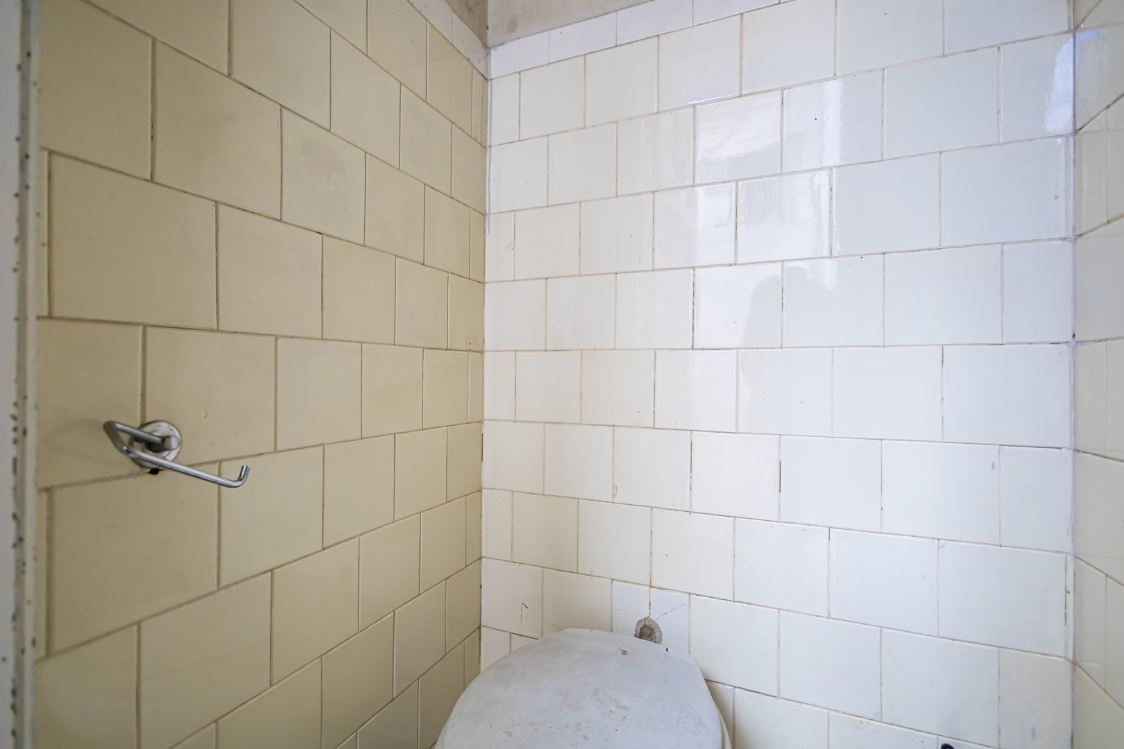 sheep - IMG_0478_1.jpg