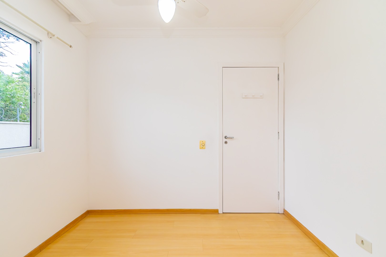 Sheep - IMG_6018.jpg