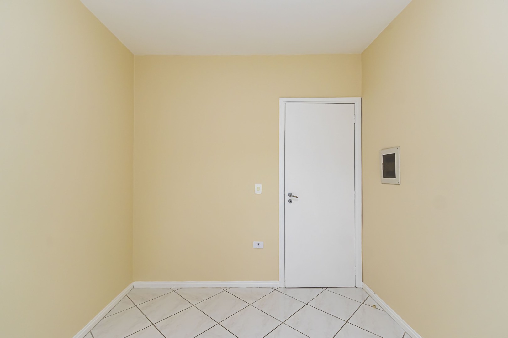 sheep - IMG_2482_1.jpg
