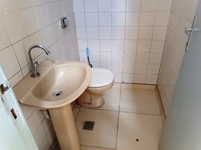 010.jpg