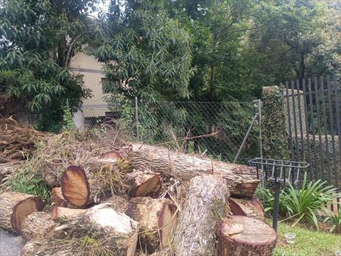 Terreno para venda no Santo Inacio em Curitiba com 600,00m² por R$ 790.000,00