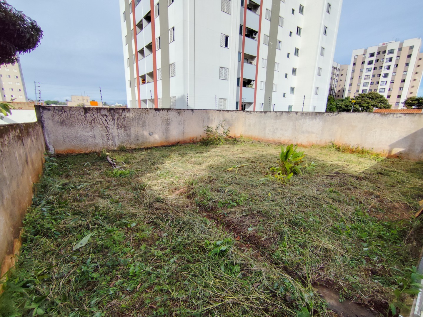 Casa Residencial para locação no bairro Vila Larsen 1 de Londrina - Foto 20