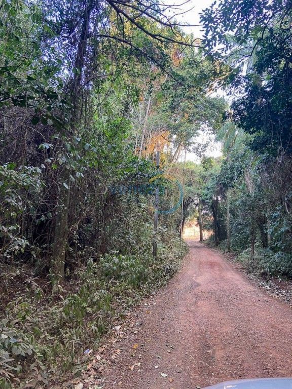Chácara-imóvel-rural para venda no bairro Recanto do Salto de Londrina - Foto 6