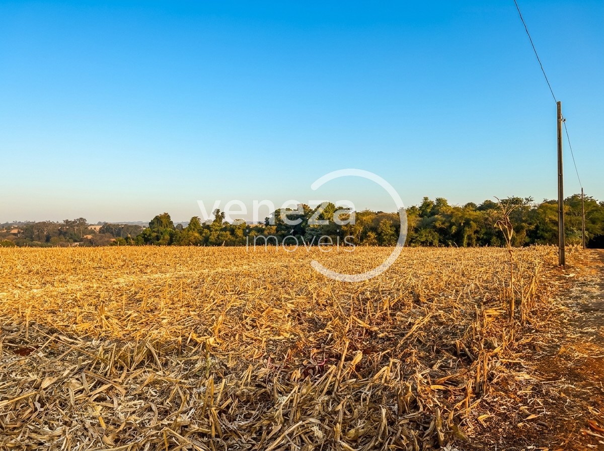 Chácara-imóvel-rural para venda no Recanto do Salto em Londrina com 51.525.733m² por R$ 5.500.000 - Foto 2