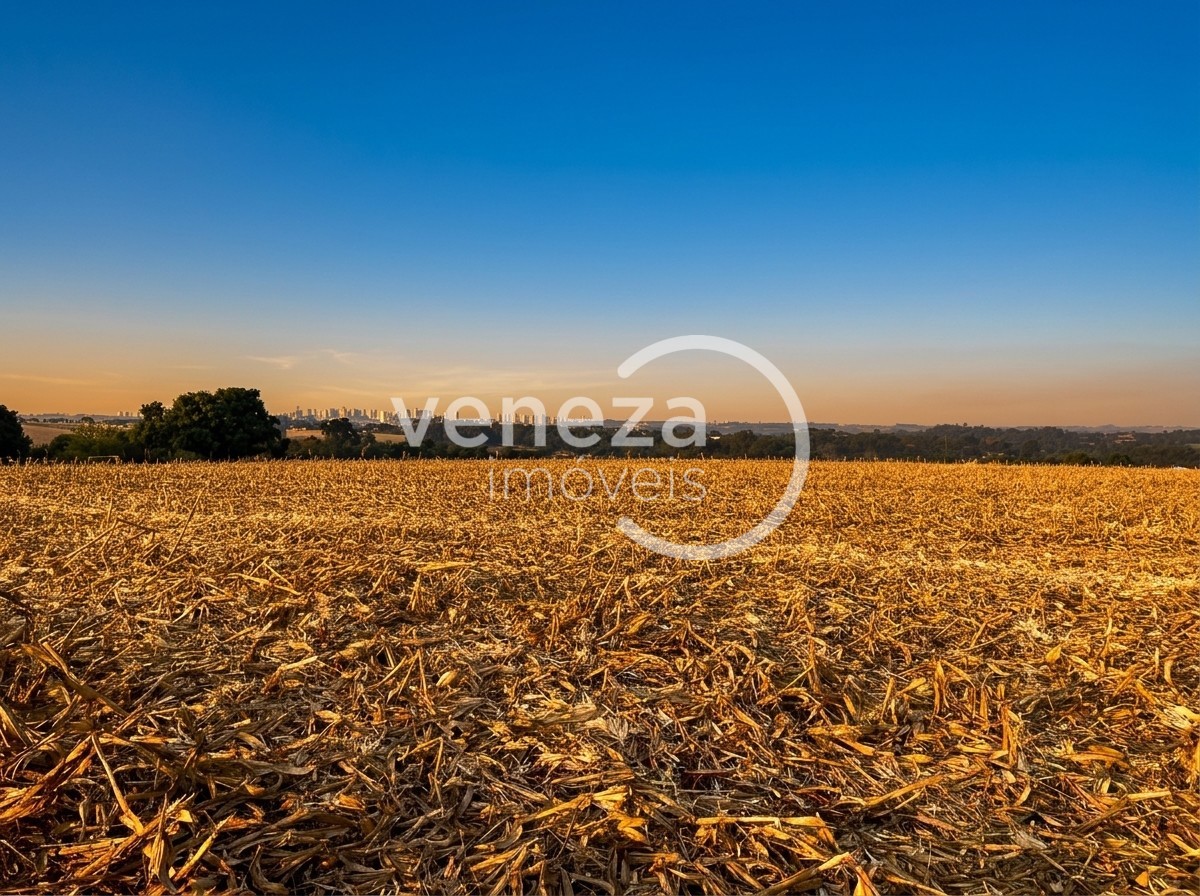Chácara-imóvel-rural para venda no Recanto do Salto em Londrina com 51.525.733m² por R$ 5.500.000 - Foto 1