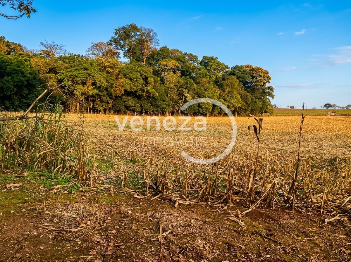 Chácara-imóvel-rural para venda no Recanto do Salto em Londrina com 51.525.733m² por R$ 5.500.000 - Foto 3