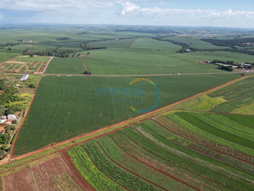 Chácara-imóvel-rural para venda no Milton Gavetti em Londrina com 242.000m² por R$ 12.000.000,00 - Foto 3