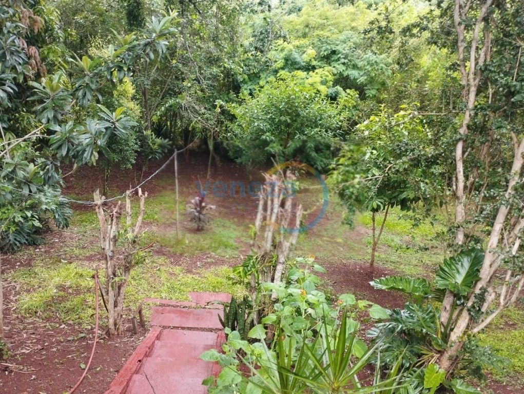 Chácara-imóvel-rural para venda no bairro Palhano 2 de Londrina - Foto 13
