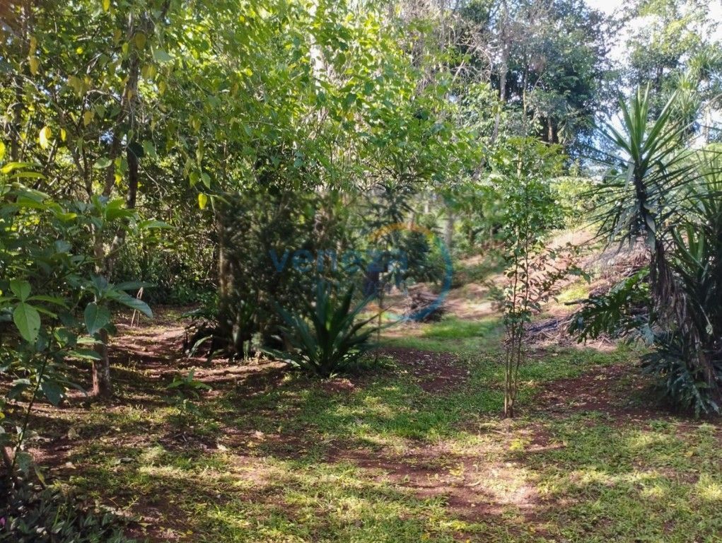 Chácara-imóvel-rural para venda no bairro Palhano 2 de Londrina - Foto 14