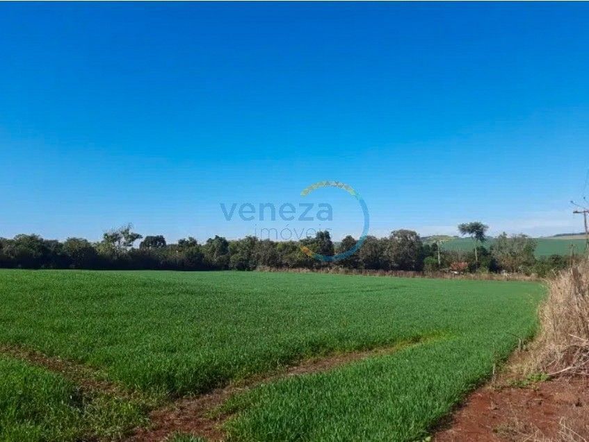 Fazenda à venda em Area Rural, Londrina — Portal Chave Fácil