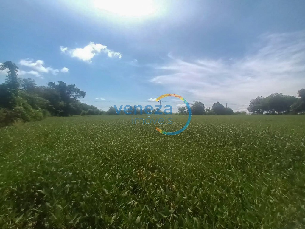 Chácara-imóvel-rural para venda no bairro Cambezinho de Londrina - Foto 7
