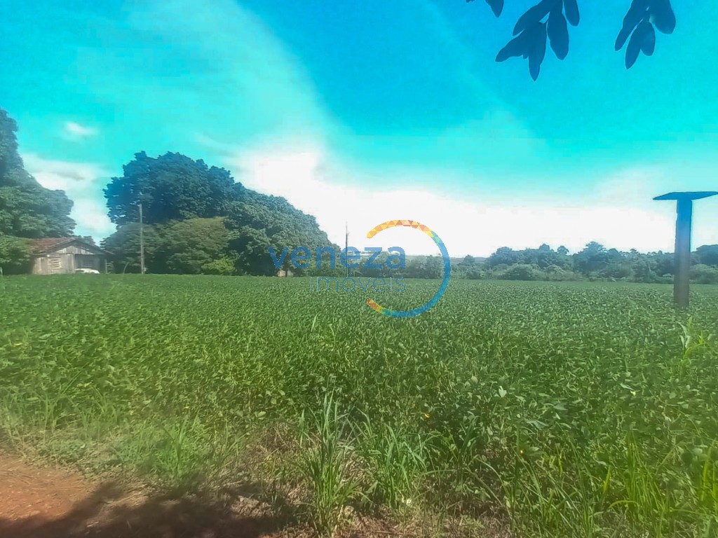 Chácara-imóvel-rural para venda no bairro Cambezinho de Londrina - Foto 9
