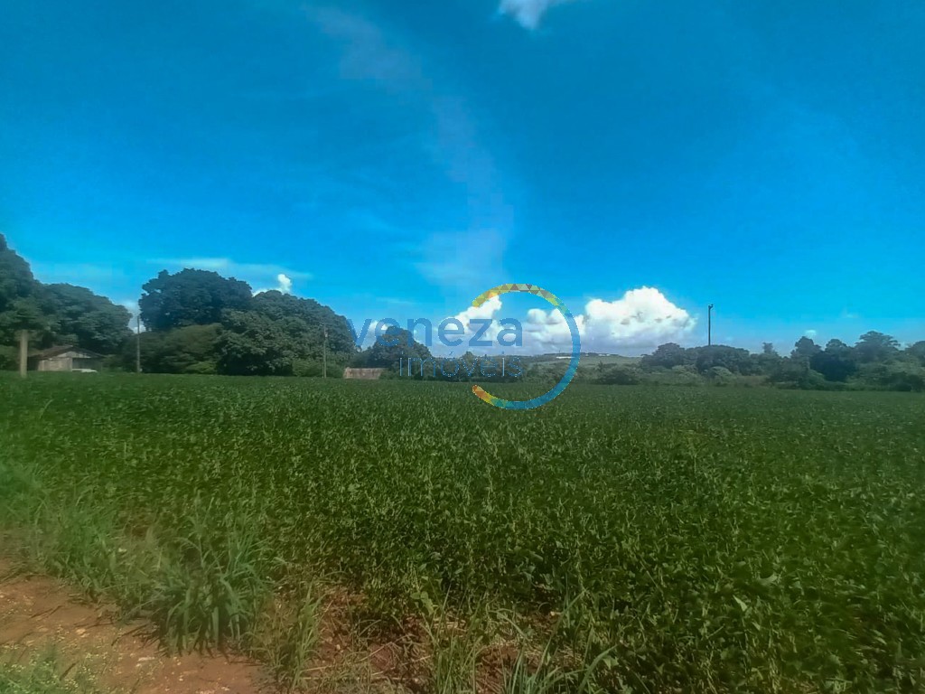 Chácara-imóvel-rural para venda no bairro Cambezinho de Londrina - Foto 10