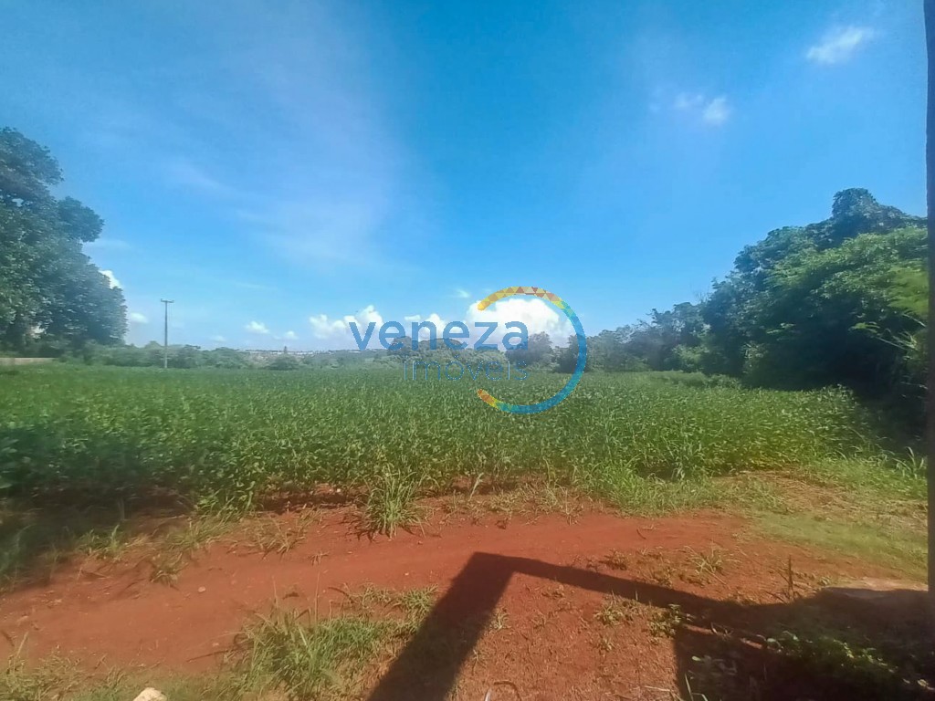 Chácara-imóvel-rural para venda no bairro Cambezinho de Londrina - Foto 12