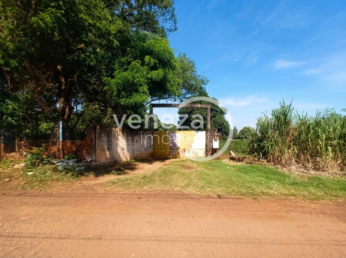 Chácara-imóvel-rural para venda no Cambezinho em Londrina com 12.100m² por R$ 3.200.000 - Foto 2
