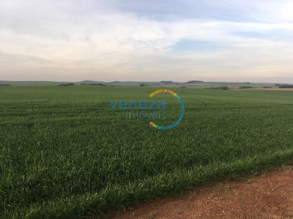 Fazenda à venda em Nova Amoreira, Marilândia do Sul — Portal Chave Fácil