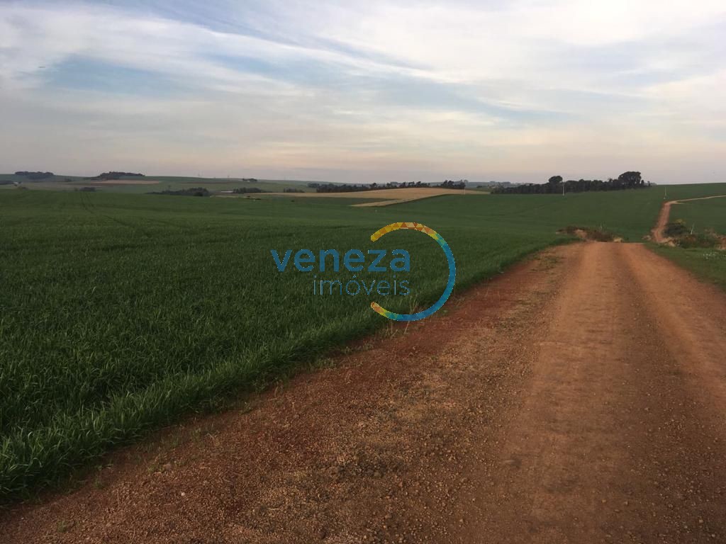 Fazenda à venda em Nova Amoreira, Marilândia do Sul — Portal Chave Fácil