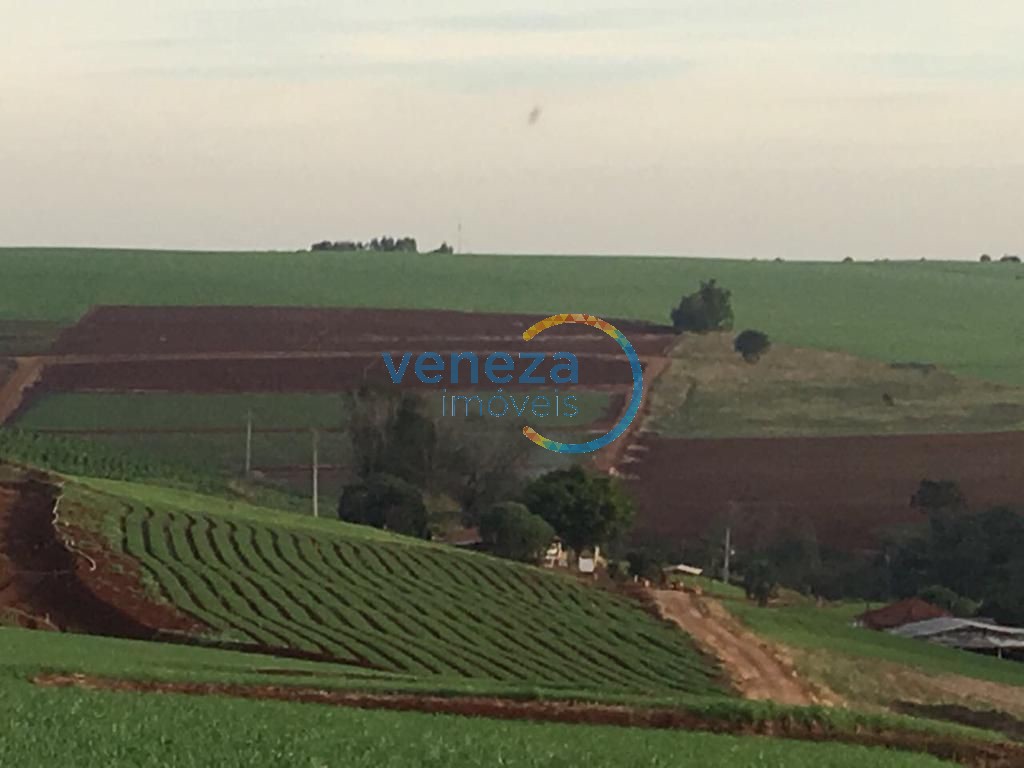 Fazenda à venda em Nova Amoreira, Marilândia do Sul — Portal Chave Fácil