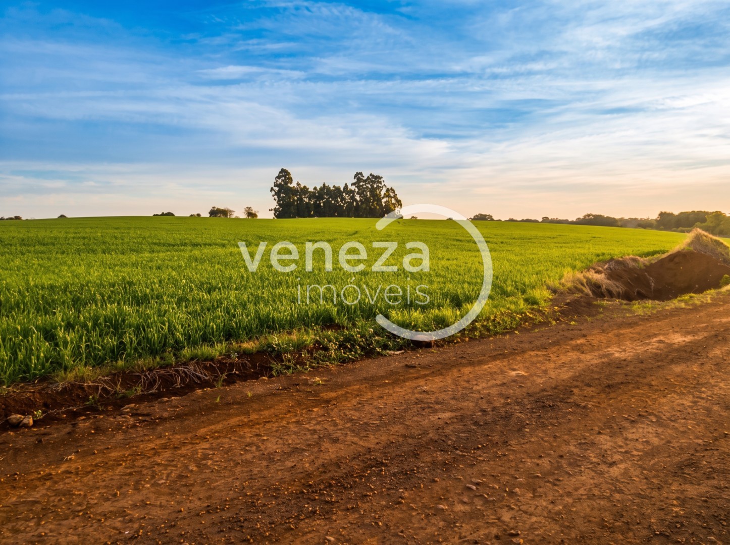 Chácara-imóvel-rural para venda no Nova Amoreira em Marilandia do Sul com 302.500m² por R$ 4.500.000 - Foto 3