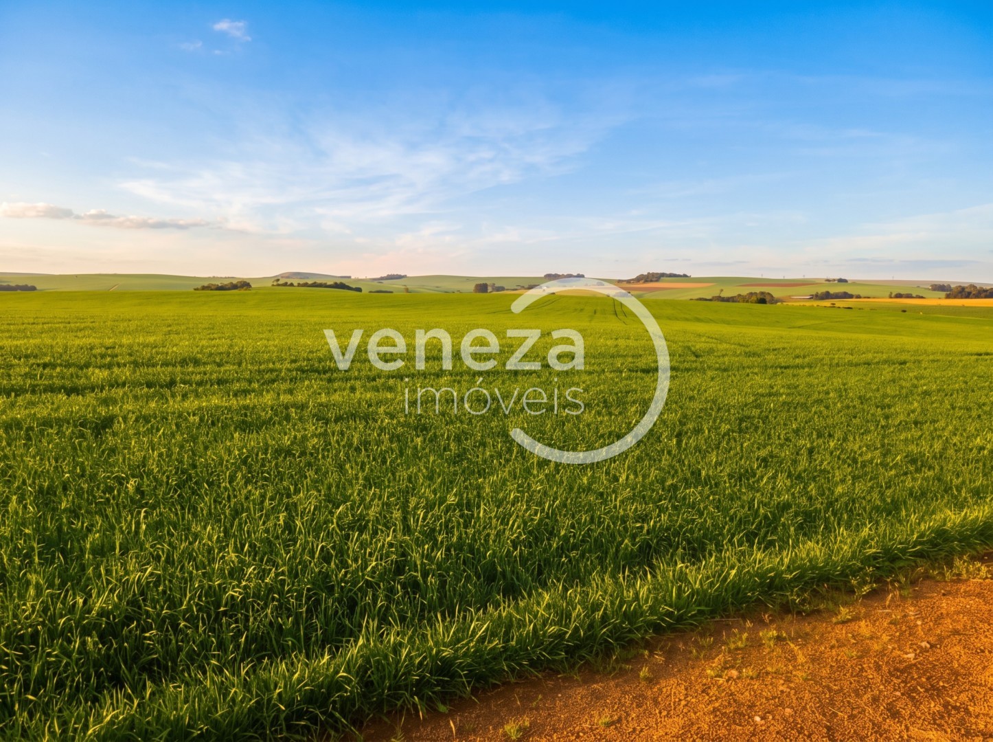 Chácara-imóvel-rural para venda no Nova Amoreira em Marilandia do Sul com 302.500m² por R$ 4.500.000 - Foto 1