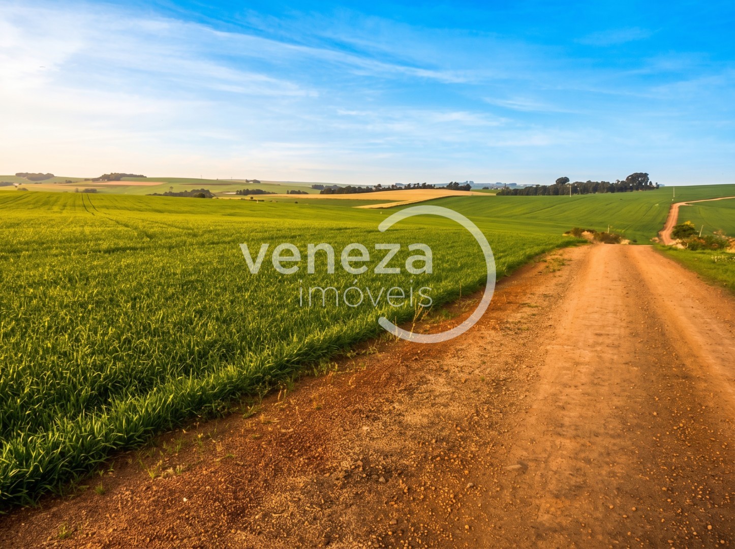 Chácara-imóvel-rural para venda no Nova Amoreira em Marilandia do Sul com 302.500m² por R$ 4.500.000 - Foto 2