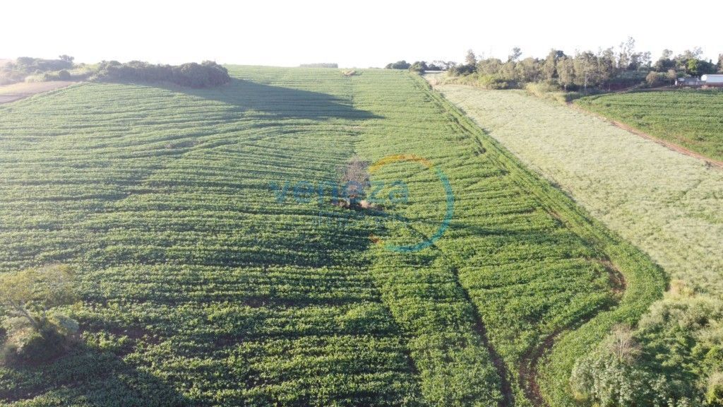 Chácara-imóvel-rural para venda no Zona Rural em Ibipora com 121.000m² por R$ 3.300.000,00 - Foto 1