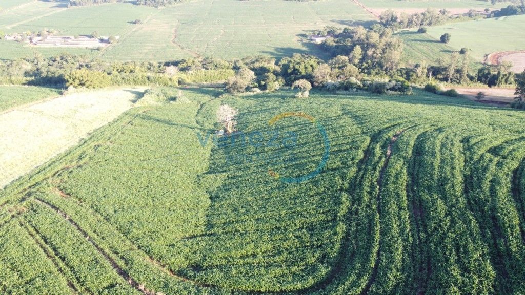 Chácara-imóvel-rural para venda no Zona Rural em Ibipora com 121.000m² por R$ 3.300.000,00 - Foto 3