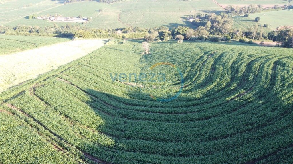 Fazenda à venda em Zona Rural, Ibiporã — Portal Chave Fácil