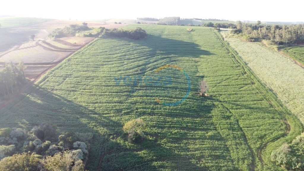 Fazenda à venda em Zona Rural, Ibiporã — Portal Chave Fácil