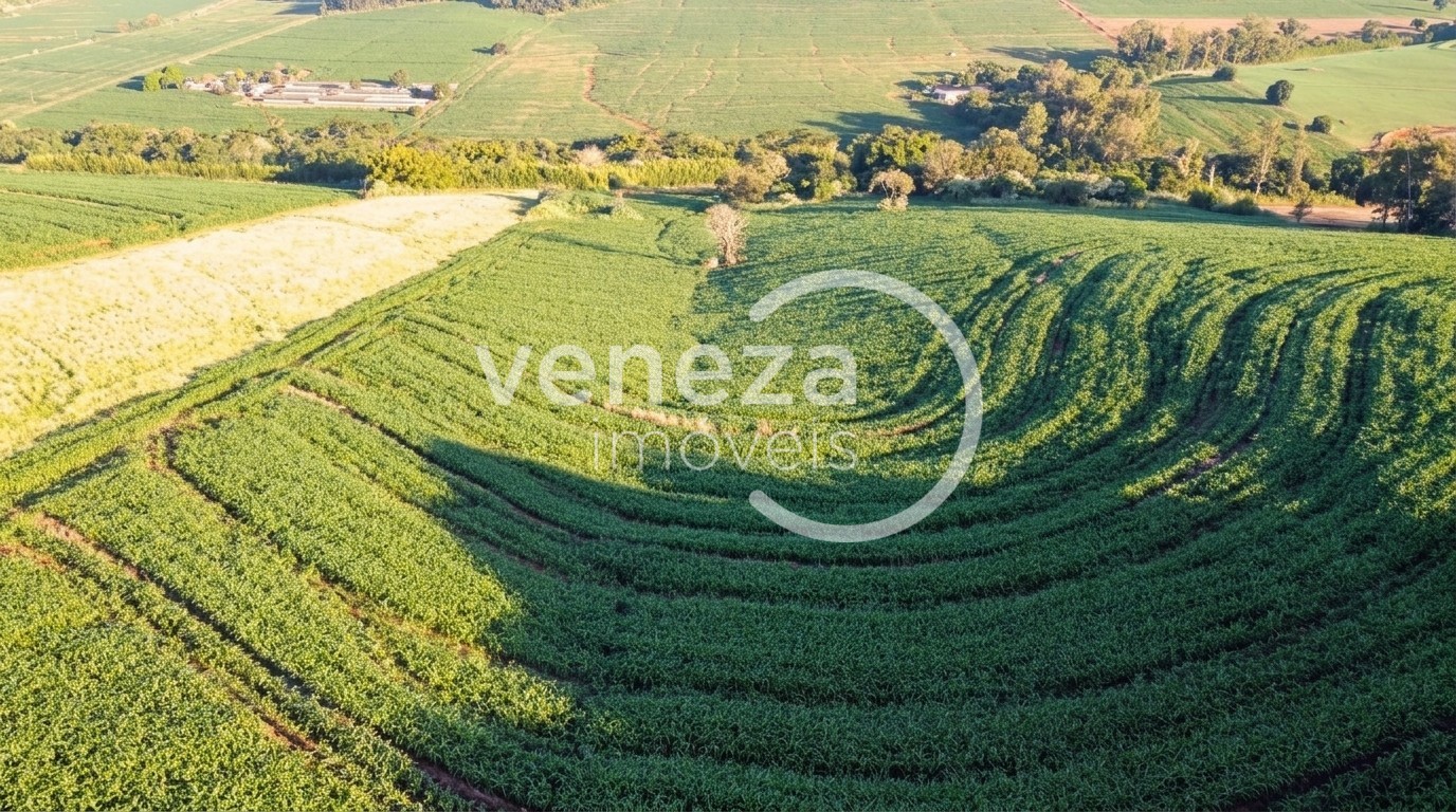 Chácara-imóvel-rural para venda no Zona Rural em Ibipora com 121.000m² por R$ 3.300.000 - Foto 1