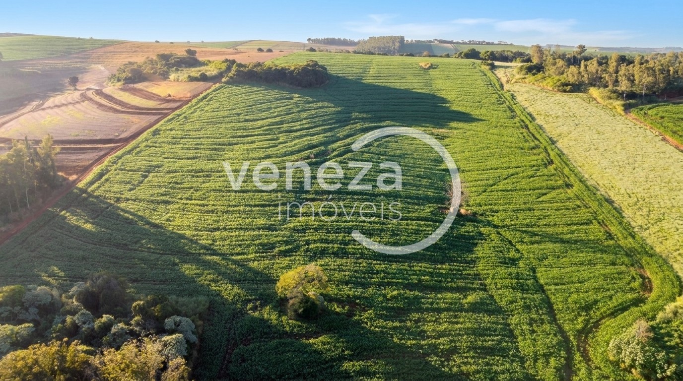Chácara-imóvel-rural para venda no Zona Rural em Ibipora com 121.000m² por R$ 3.300.000 - Foto 2