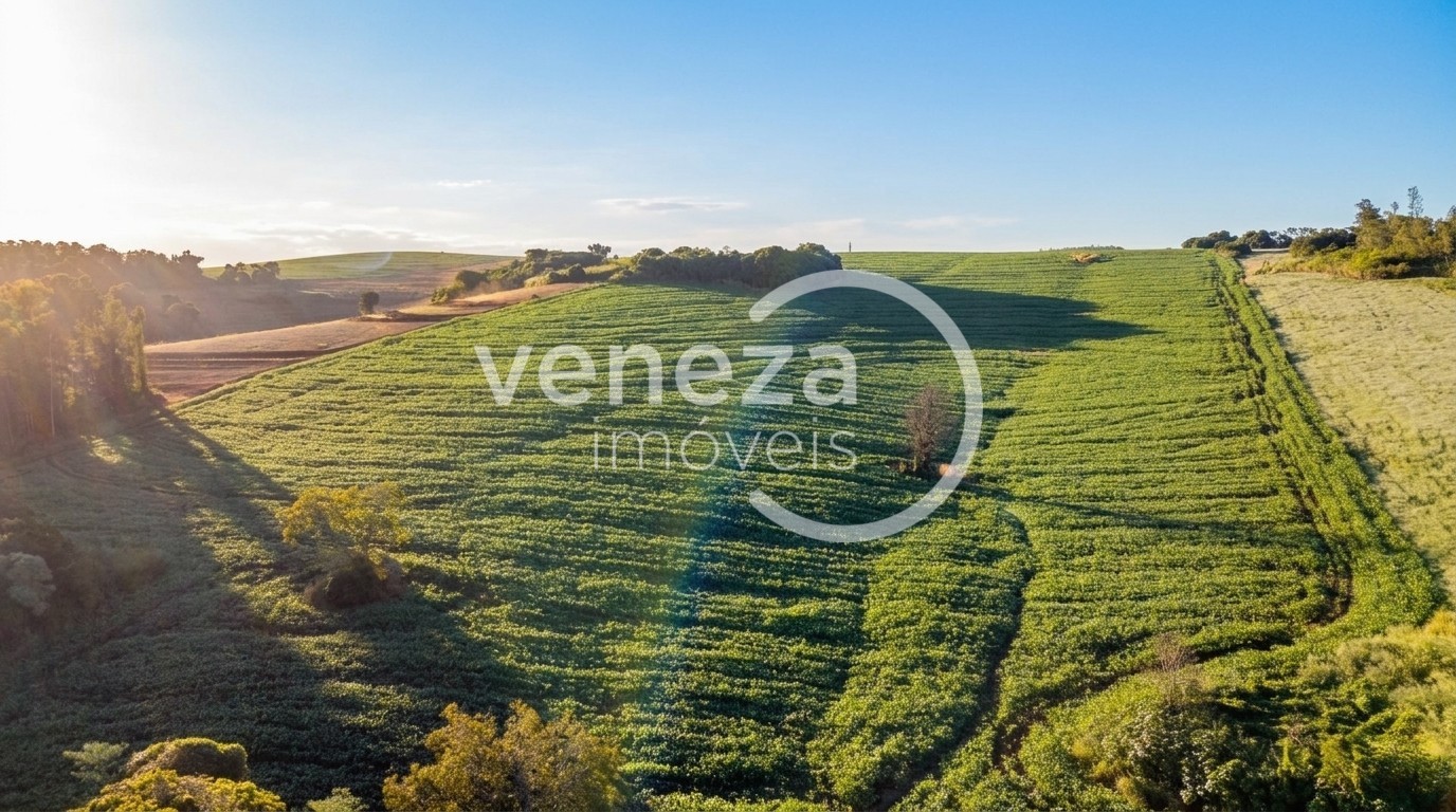 Chácara-imóvel-rural para venda no Zona Rural em Ibipora com 121.000m² por R$ 3.300.000 - Foto 3