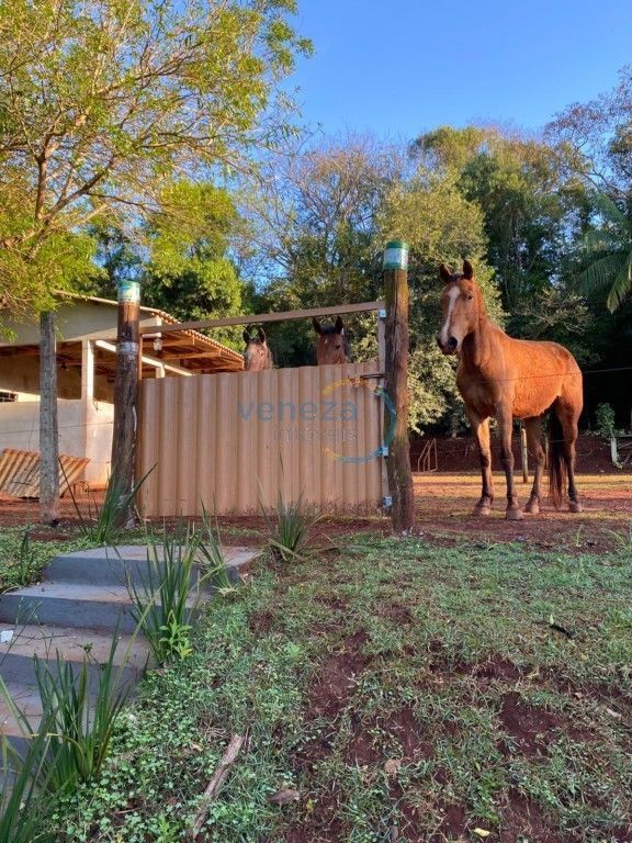 Chácara-imóvel-rural para venda no bairro Rural de Londrina - Foto 23