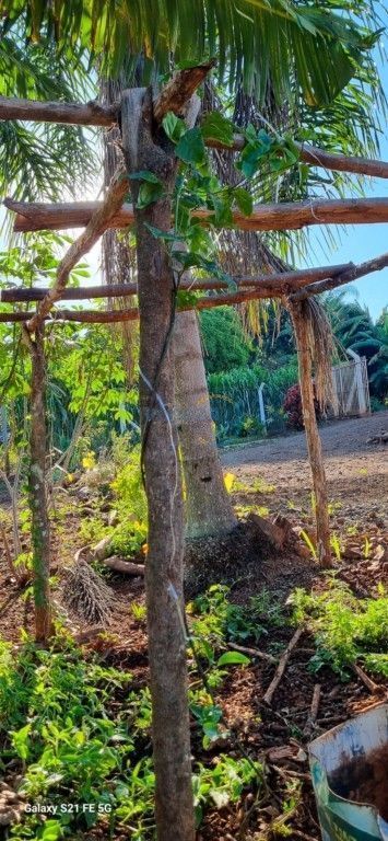 Fazenda à venda em Centro, São Pedro do Ivaí — Portal Chave Fácil